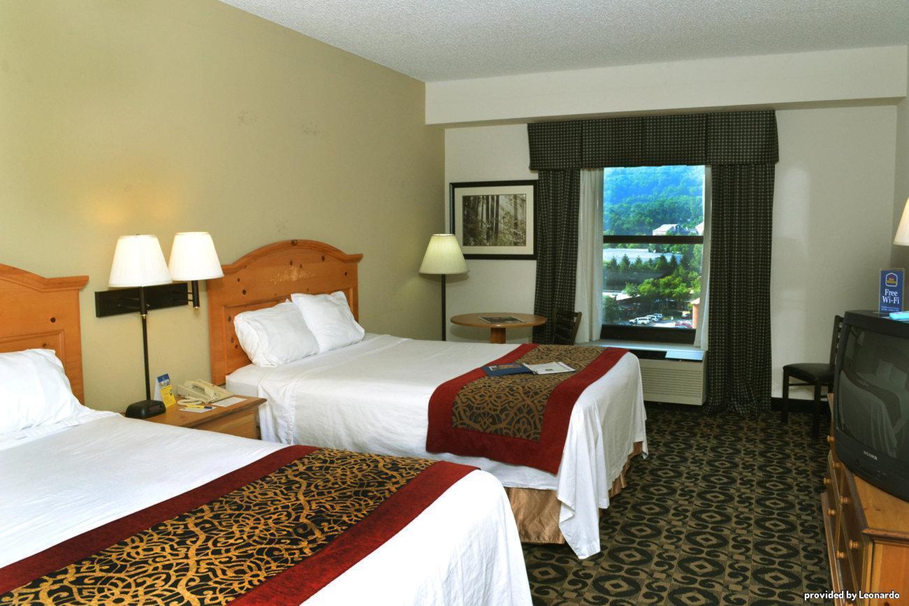 Quality Inn & Suites Boone - University Area Room photo